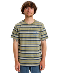 The Quiksilver Mens Tengha Stripe T-Shirt in Aloe Tengha