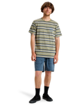 The Quiksilver Mens Tengha Stripe T-Shirt in Aloe Tengha