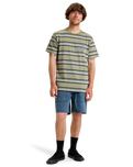 The Quiksilver Mens Tengha Stripe T-Shirt in Aloe Tengha