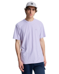The Quiksilver Mens Slub Roundneck T-Shirt in Orchid Petal