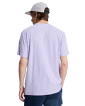 The Quiksilver Mens Slub Roundneck T-Shirt in Orchid Petal
