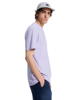 The Quiksilver Mens Slub Roundneck T-Shirt in Orchid Petal