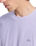 The Quiksilver Mens Slub Roundneck T-Shirt in Orchid Petal