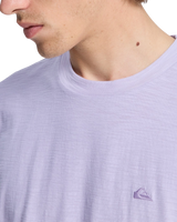 The Quiksilver Mens Slub Roundneck T-Shirt in Orchid Petal