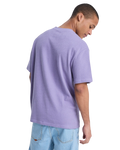 The Quiksilver Mens Bayi T-Shirt in Daybreak