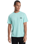 The Quiksilver Mens Dola Dola Injected T-Shirt in Brook Green