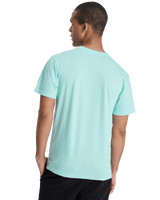 The Quiksilver Mens Dola Dola Injected T-Shirt in Brook Green