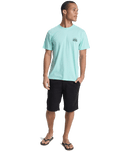 The Quiksilver Mens Dola Dola Injected T-Shirt in Brook Green