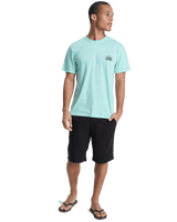The Quiksilver Mens Dola Dola Injected T-Shirt in Brook Green