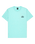 The Quiksilver Mens Dola Dola Injected T-Shirt in Brook Green