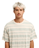 The Quiksilver Mens Birdwood Jacquard T-Shirt in Peyote Heritage Stripe Jacquard