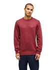 The Quiksilver Mens Salt Water Jumper in Oxblood Red