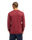 The Quiksilver Mens Salt Water Jumper in Oxblood Red