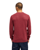 The Quiksilver Mens Salt Water Jumper in Oxblood Red