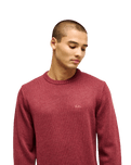 The Quiksilver Mens Salt Water Jumper in Oxblood Red