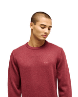 The Quiksilver Mens Salt Water Jumper in Oxblood Red