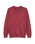 The Quiksilver Mens Salt Water Jumper in Oxblood Red