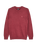 The Quiksilver Mens Salt Water Jumper in Oxblood Red