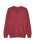 The Quiksilver Mens Salt Water Jumper in Oxblood Red