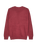 The Quiksilver Mens Salt Water Jumper in Oxblood Red