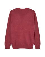 The Quiksilver Mens Salt Water Jumper in Oxblood Red