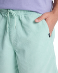 The Quiksilver Mens Taxer Cord Walkshorts in Blue Haze