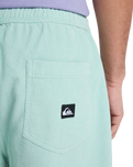 The Quiksilver Mens Taxer Cord Walkshorts in Blue Haze