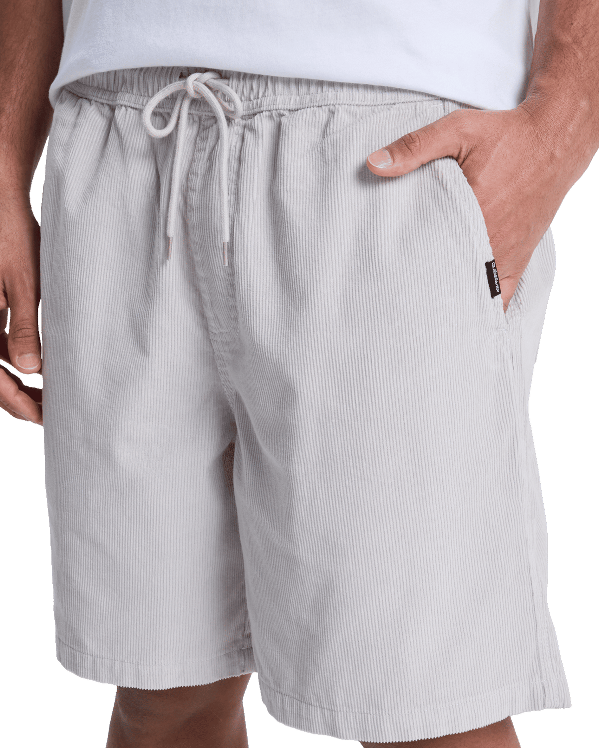Taxer Cord Walkshorts in Micro Chip