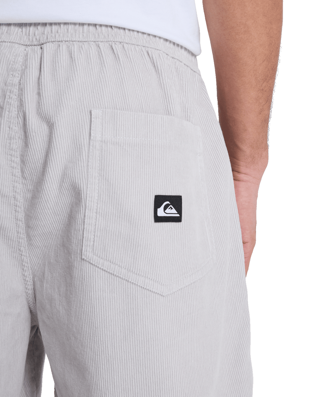 Taxer Cord Walkshorts in Micro Chip