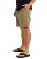 The Quiksilver Mens MW Chino Straight Walkshorts in Aloe