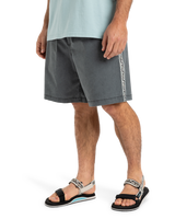 The Quiksilver Mens Taxer Global Heat Walkshorts in Dark Shadow