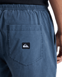 Taxer Walkshorts in Dark Navy