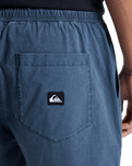 Taxer Walkshorts in Dark Navy