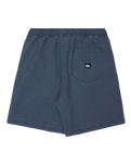 Taxer Walkshorts in Dark Navy