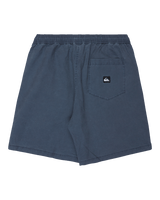 Taxer Walkshorts in Dark Navy