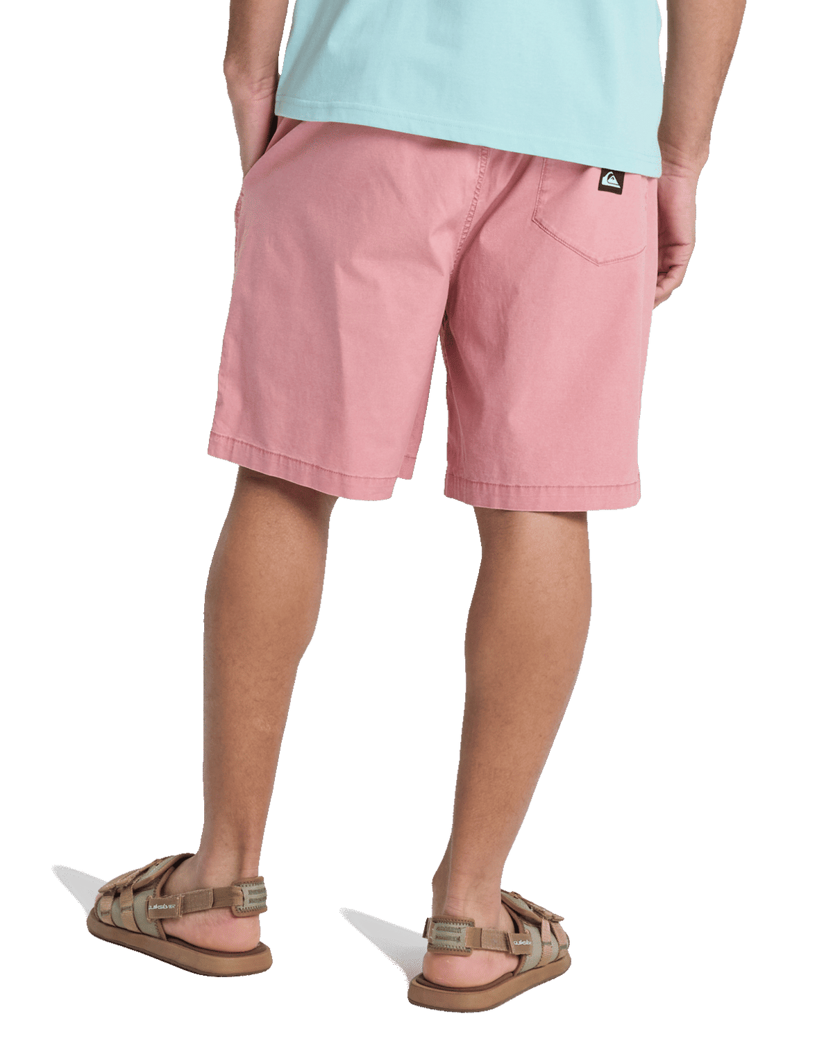 Taxer Walkshorts in Desert Sand
