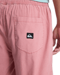 Taxer Walkshorts in Desert Sand