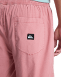 Taxer Walkshorts in Desert Sand
