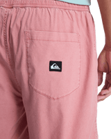 Taxer Walkshorts in Desert Sand