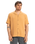 The Quiksilver Mens Sunrise Shirt in Bran
