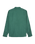 The Quiksilver Mens Motherfly Solid Shirt in Forest