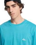 The Quiksilver Mens Basic T-Shirt in Aqua