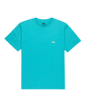 The Quiksilver Mens Basic T-Shirt in Aqua