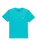 The Quiksilver Mens Basic T-Shirt in Aqua