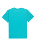 The Quiksilver Mens Basic T-Shirt in Aqua