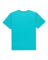 The Quiksilver Mens Basic T-Shirt in Aqua