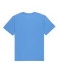 The Quiksilver Mens Basic T-Shirt in Riviera