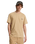 The Quiksilver Mens Basic T-Shirt in Khaki
