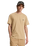 The Quiksilver Mens Basic T-Shirt in Khaki