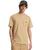 The Quiksilver Mens Basic T-Shirt in Khaki
